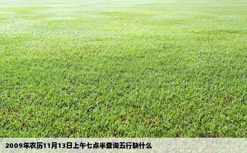 2009年农历11月13日上午七点半查询五行缺什么