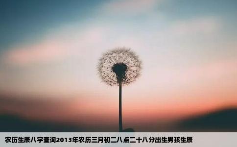 农历生辰八字查询2013年农历三月初二八点二十八分出生男孩生辰