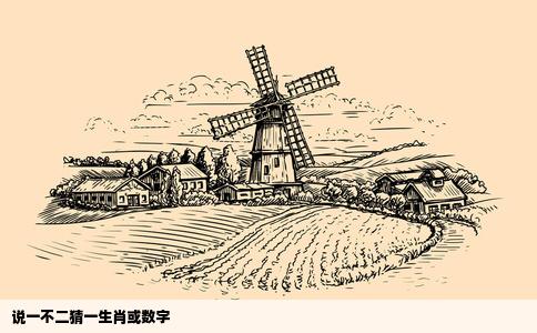 说一不二猜一生肖或数字