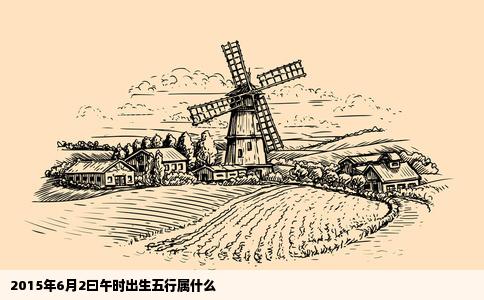 2015年6月2曰午时出生五行属什么