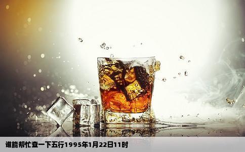 谁能帮忙查一下五行1995年1月22日11时