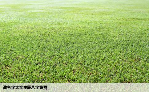 改名字大全生辰八字免费