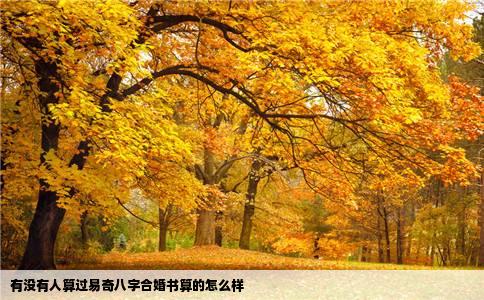 有没有人算过易奇八字合婚书算的怎么样