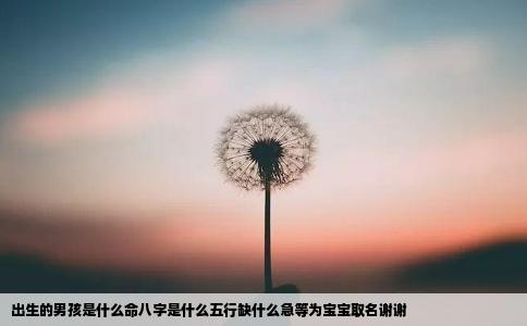 出生的男孩是什么命八字是什么五行缺什么急等为宝宝取名谢谢