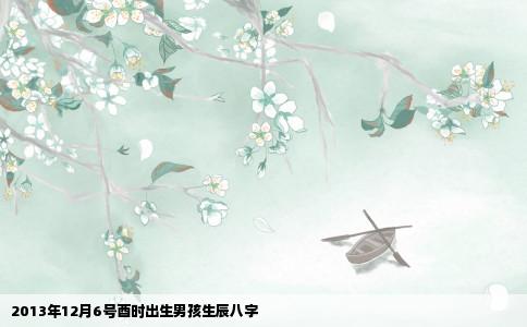 2013年12月6号酉时出生男孩生辰八字