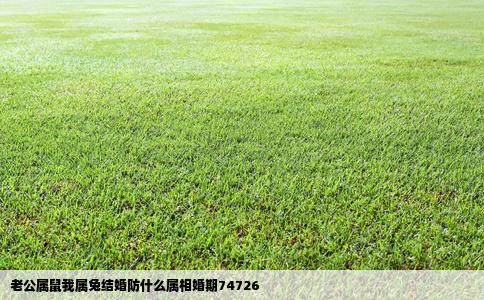 老公属鼠我属兔结婚防什么属相婚期74726