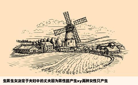 生男生女决定于夫妇中的丈夫因为男性能产生xy两种女性只产生