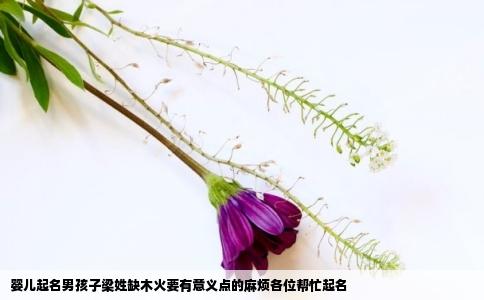 婴儿起名男孩子梁姓缺木火要有意义点的麻烦各位帮忙起名