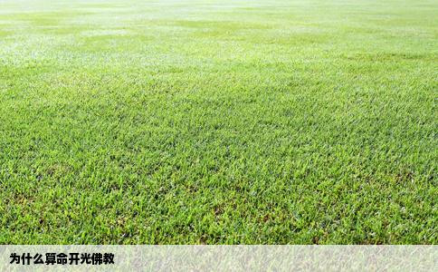 为什么算命开光佛教