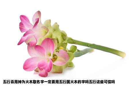 五行喜用神为火木取名字一定要用五行属火木的字吗五行这些可信吗