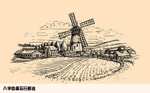 八字命盘五行解说