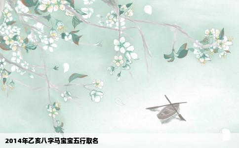 2014年乙亥八字马宝宝五行取名