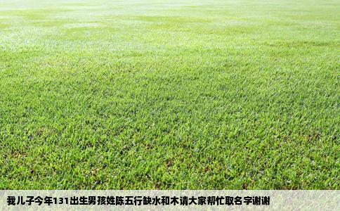 我儿子今年131出生男孩姓陈五行缺水和木请大家帮忙取名字谢谢