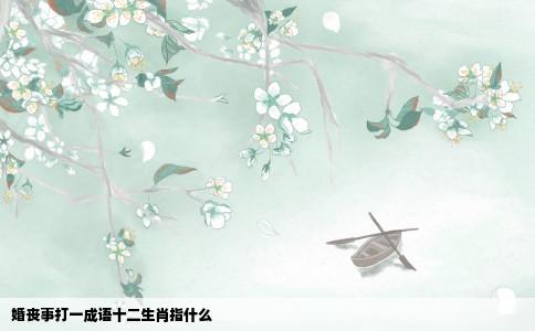 婚丧事打一成语十二生肖指什么