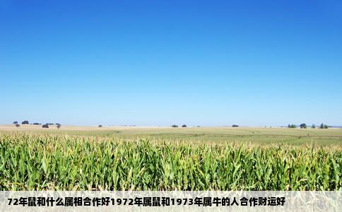 72年鼠和什么属相合作好1972年属鼠和1973年属牛的人合作财运好