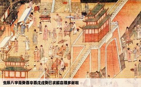 生辰八字是癸酉辛酉戊戌癸巳求解命理多谢啦