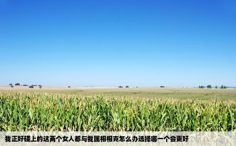 我正好碰上的这两个女人都与我属相相克怎么办选择哪一个会更好