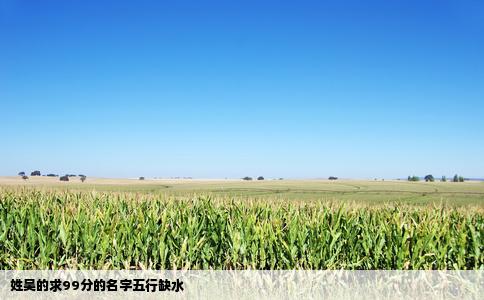 姓吴的求99分的名字五行缺水