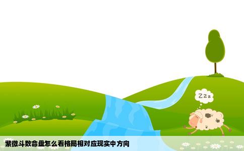 紫微斗数命盘怎么看格局相对应现实中方向