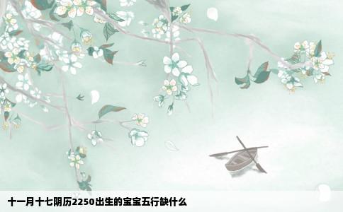 十一月十七阴历2250出生的宝宝五行缺什么