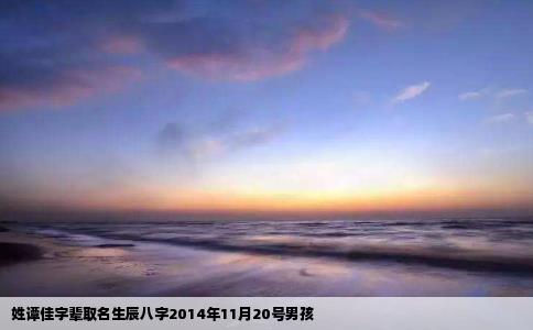 姓谭佳字辈取名生辰八字2014年11月20号男孩