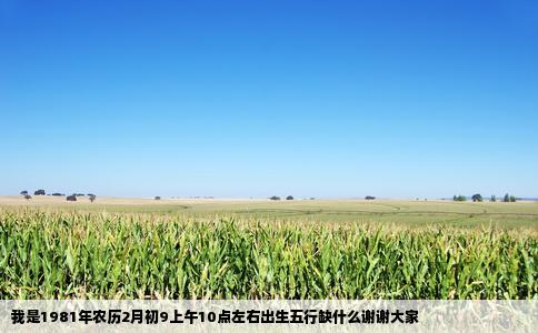 我是1981年农历2月初9上午10点左右出生五行缺什么谢谢大家