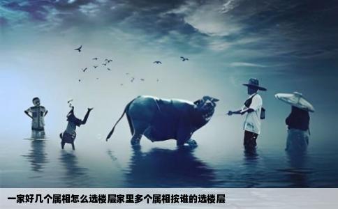 一家好几个属相怎么选楼层家里多个属相按谁的选楼层