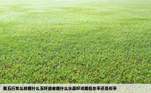 我五行怎么样戴什么玉好或者戴什么水晶好该戴在左手还是右手