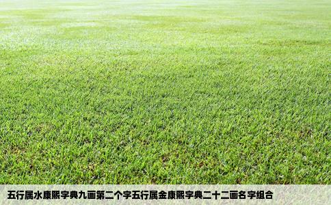 五行属水康熙字典九画第二个字五行属金康熙字典二十二画名字组合