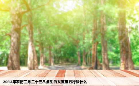 2012年农历二月二十三八点生的女宝宝五行缺什么