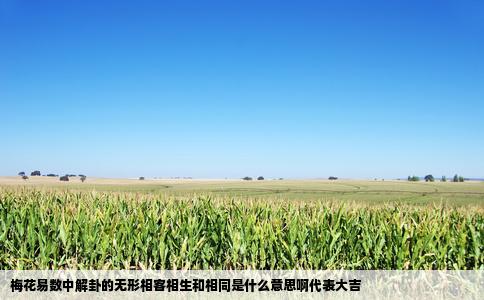 梅花易数中解卦的无形相客相生和相同是什么意思啊代表大吉