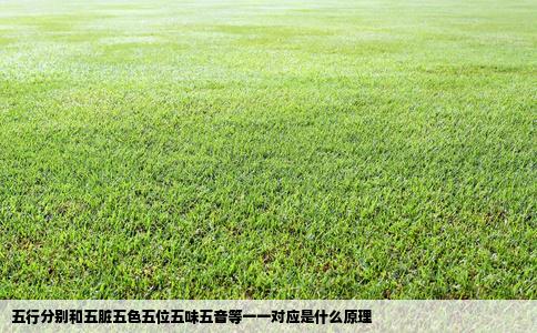 五行分别和五脏五色五位五味五音等一一对应是什么原理