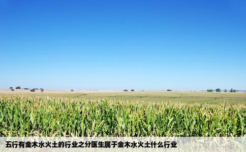 五行有金木水火土的行业之分医生属于金木水火土什么行业