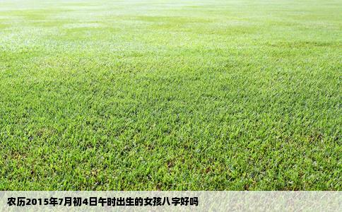 农历2015年7月初4日午时出生的女孩八字好吗