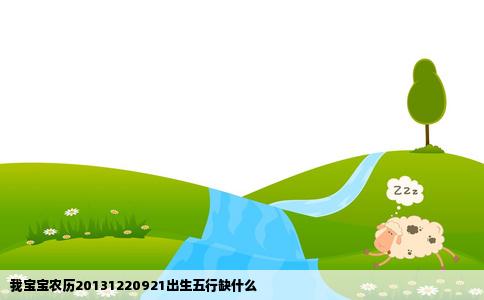 我宝宝农历20131220921出生五行缺什么