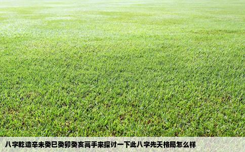 八字乾造辛未癸巳癸卯癸亥高手来探讨一下此八字先天格局怎么样
