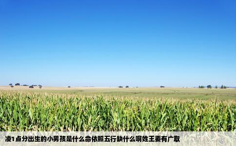 凌1点分出生的小男孩是什么命依照五行缺什么啊姓王要有广取
