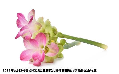 2013年元月2号零点42分出生的女儿具体的生辰八字是什么五行属