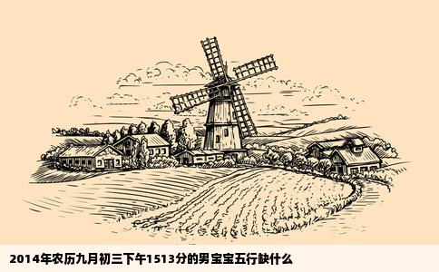 2014年农历九月初三下午1513分的男宝宝五行缺什么