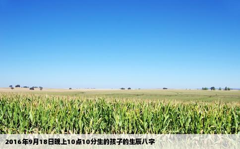 2016年9月18日晚上10点10分生的孩子的生辰八字