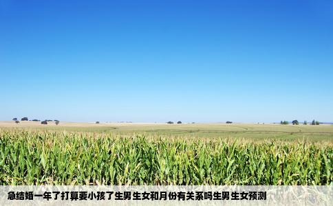 急结婚一年了打算要小孩了生男生女和月份有关系吗生男生女预测