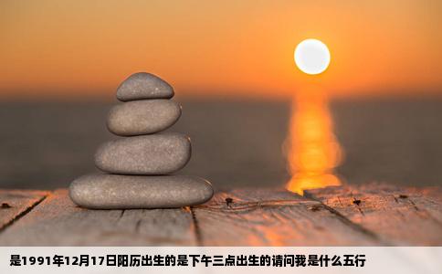 是1991年12月17日阳历出生的是下午三点出生的请问我是什么五行