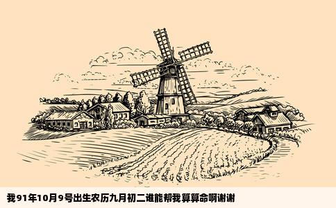 我91年10月9号出生农历九月初二谁能帮我算算命啊谢谢
