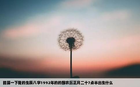 能算一下我的生辰八字1992年的的猴农历正月二十7点半出生什么