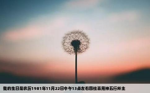 我的生日是农历1981年11月22日中午13点左右四柱喜用神五行所主