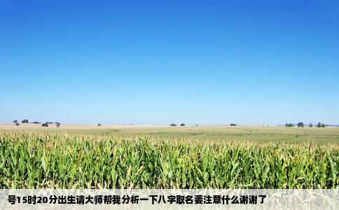 号15时20分出生请大师帮我分析一下八字取名要注意什么谢谢了