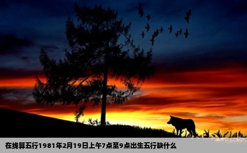 在线算五行1981年2月19日上午7点至9点出生五行缺什么
