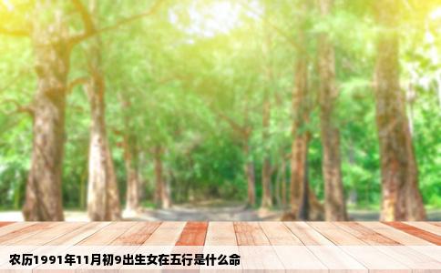 农历1991年11月初9出生女在五行是什么命