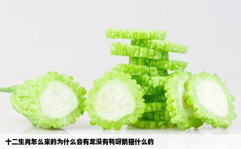 十二生肖怎么来的为什么会有龙没有鸭呀鹅猫什么的