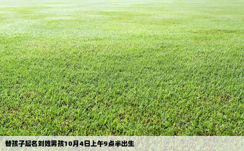 替孩子起名刘姓男孩10月4日上午9点半出生